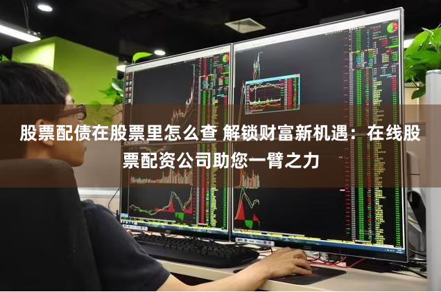 股票配债在股票里怎么查 解锁财富新机遇：在线股票配资公司助您一臂之力