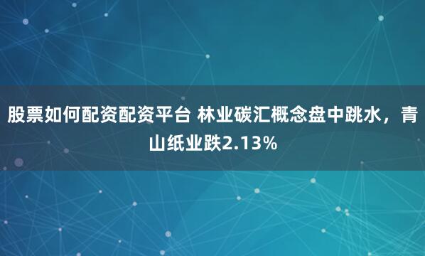 股票如何配资配资平台 林业碳汇概念盘中跳水，青山纸业跌2.13%