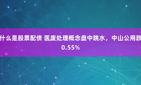 什么是股票配债 医废处理概念盘中跳水，中山公用跌0.55%
