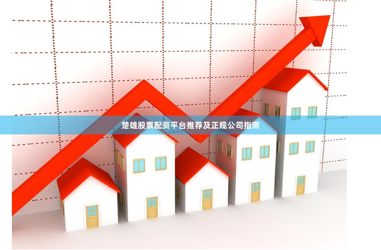 楚雄股票配资平台推荐及正规公司指南