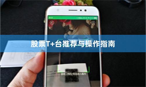 股票T+台推荐与操作指南
